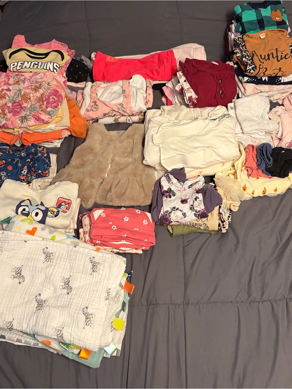 Mixed Baby Girls Clothing Bundle - Multi Color Newborn to 18 Months